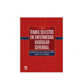 Barinagarrementería - Temas...