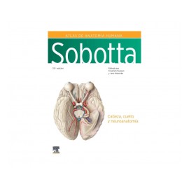 Paulsen - Atlas de Anatomía...